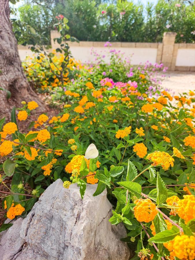 Masseria La Foggia Fasano Eksteriør bilde